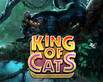 King of Cats